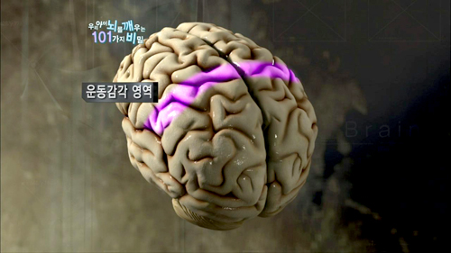 곤지곤지잼잼 이미지