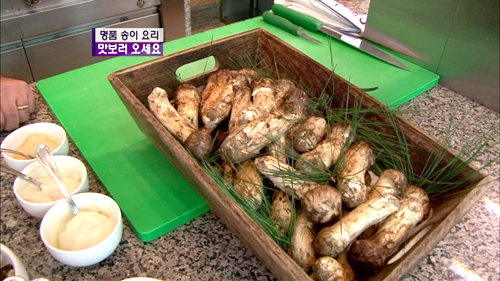 자연산 송이를 활용한 럭셔리 요리! | MBC 연예 스포츠