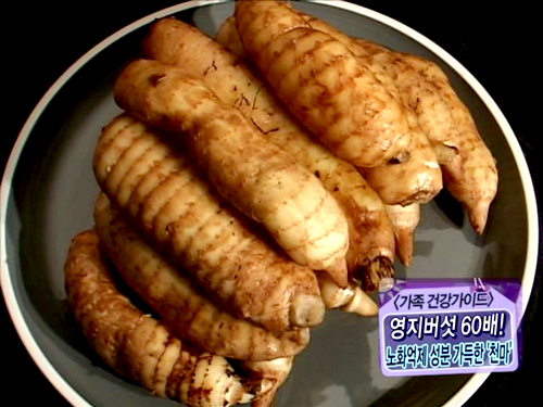 영지기획 이미지