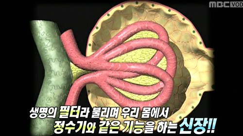 으뜸기획 이미지