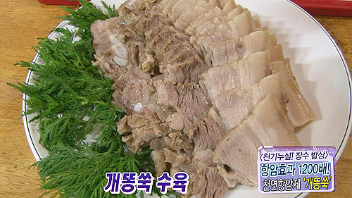 자연이 만든 천연 항암제, 개똥쑥 이미지-5