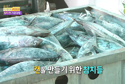 참치공장 이미지