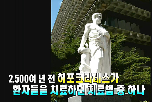 히포크라테스스프 이미지