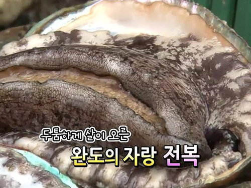 완도전복 이미지