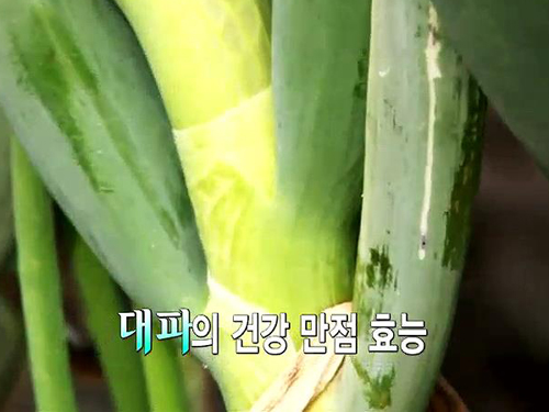 (주)알싸한 이미지