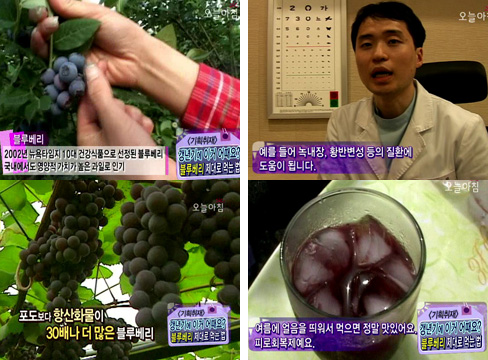 갱년기에 이거 어때요? 블루베리, 제대로 먹는 법 이미지-1