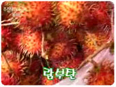 (주)두리안서비스 이미지