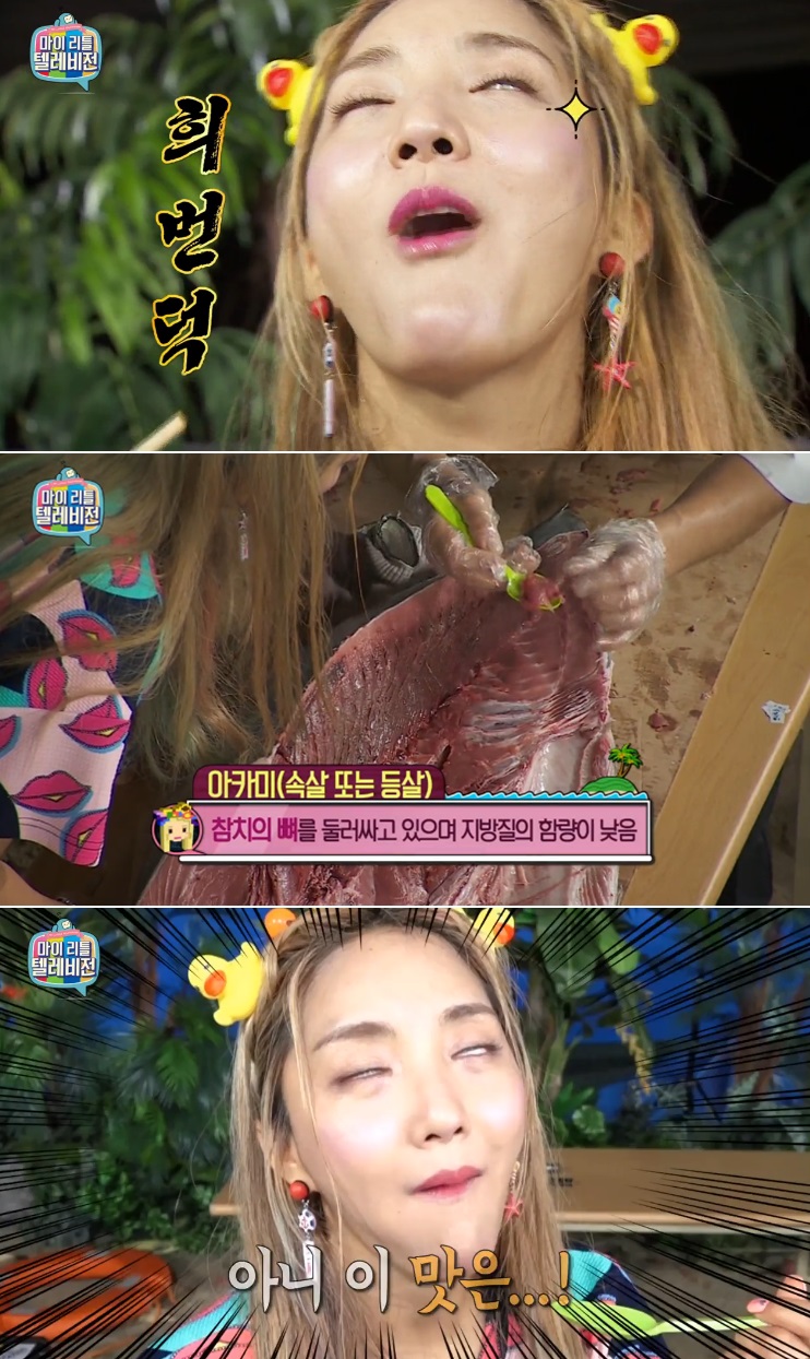 고수참치 이미지