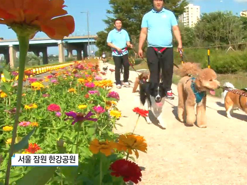예절교육에 스파까지 <강아지 유치원> 이미지-7