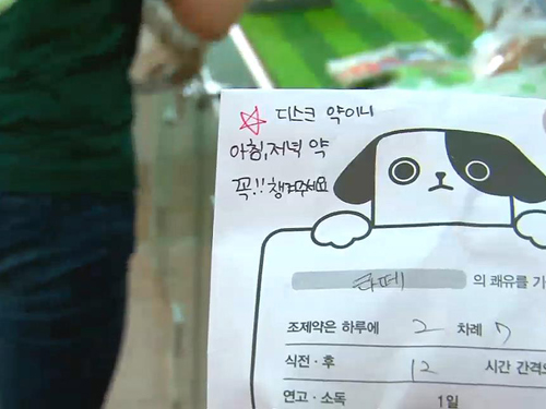 예절교육에 스파까지 <강아지 유치원> 이미지-6