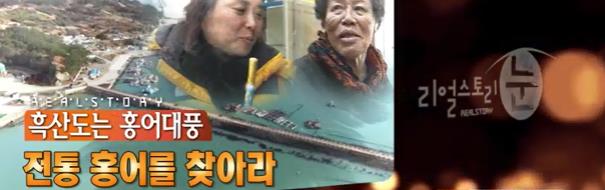 전통홍어 이미지