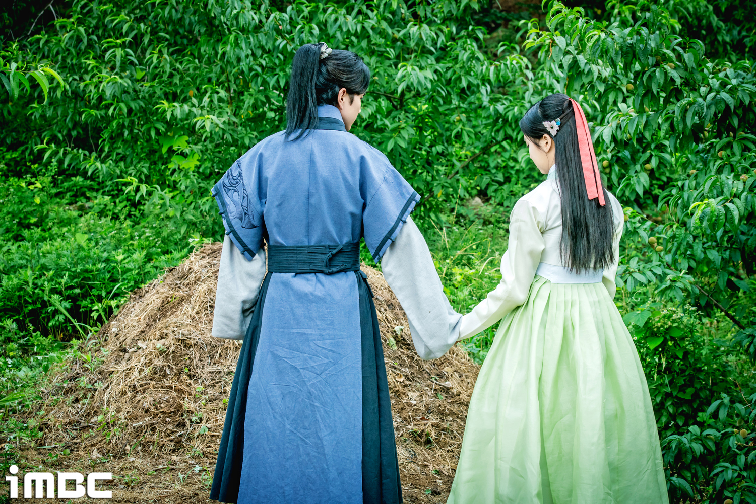 [Drama 2017] The Ruler Master of the Mask /The Emperor Owner of the