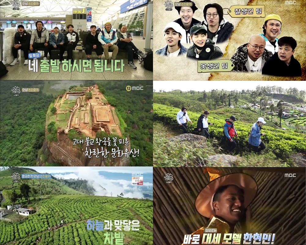 오지의마법사 이미지