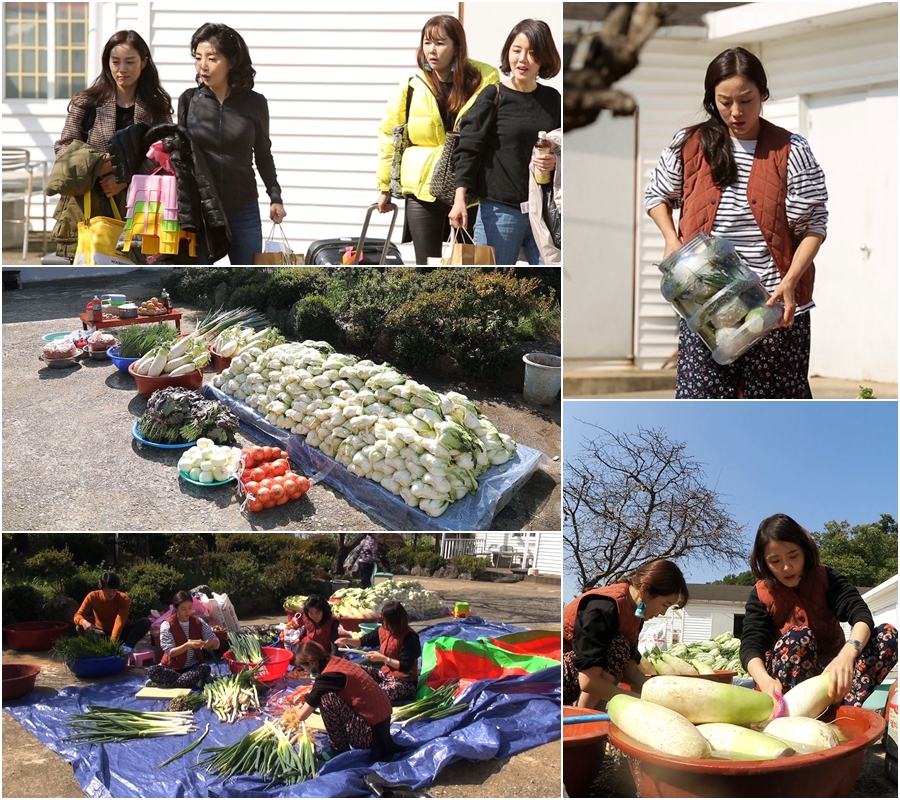 '아내의 맛' 이하정VS장영란VS문정원VS여에스더...무시무시한 김장대첩(ft.머슴 홍혜걸)