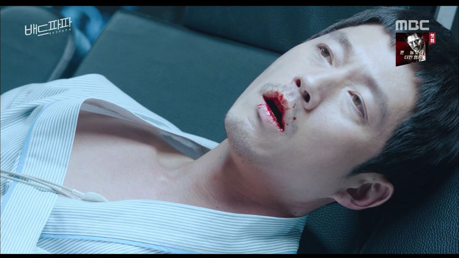 파파피나 이미지