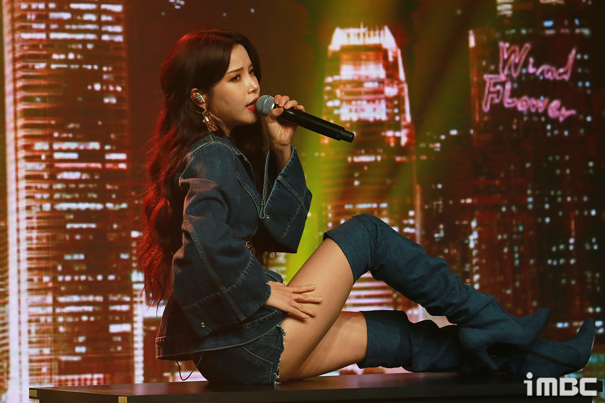 솔라 이미지