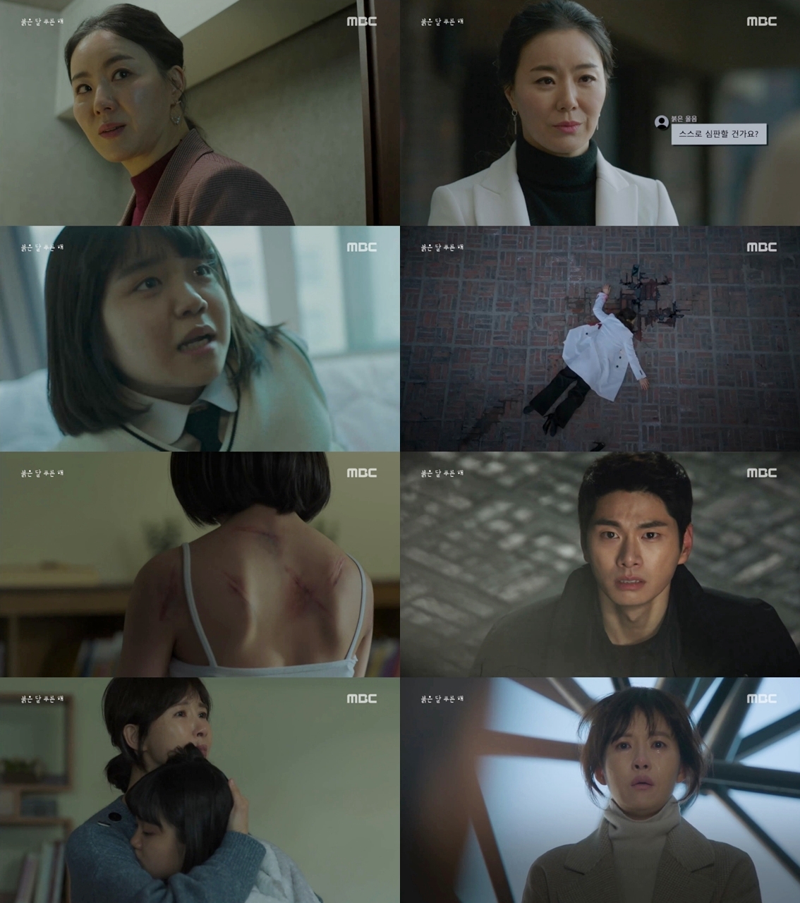 푸른해 이미지