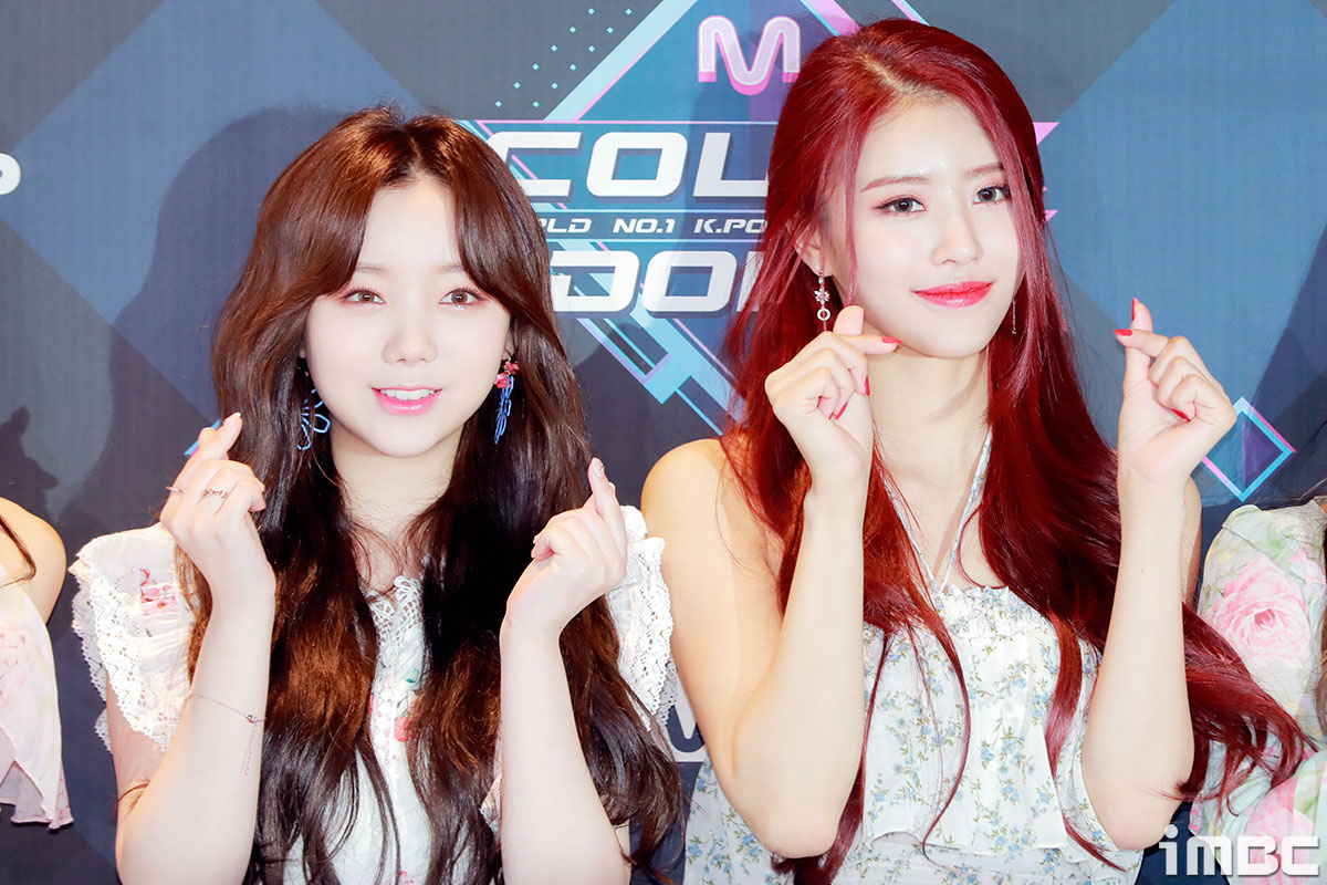 수록 이미지