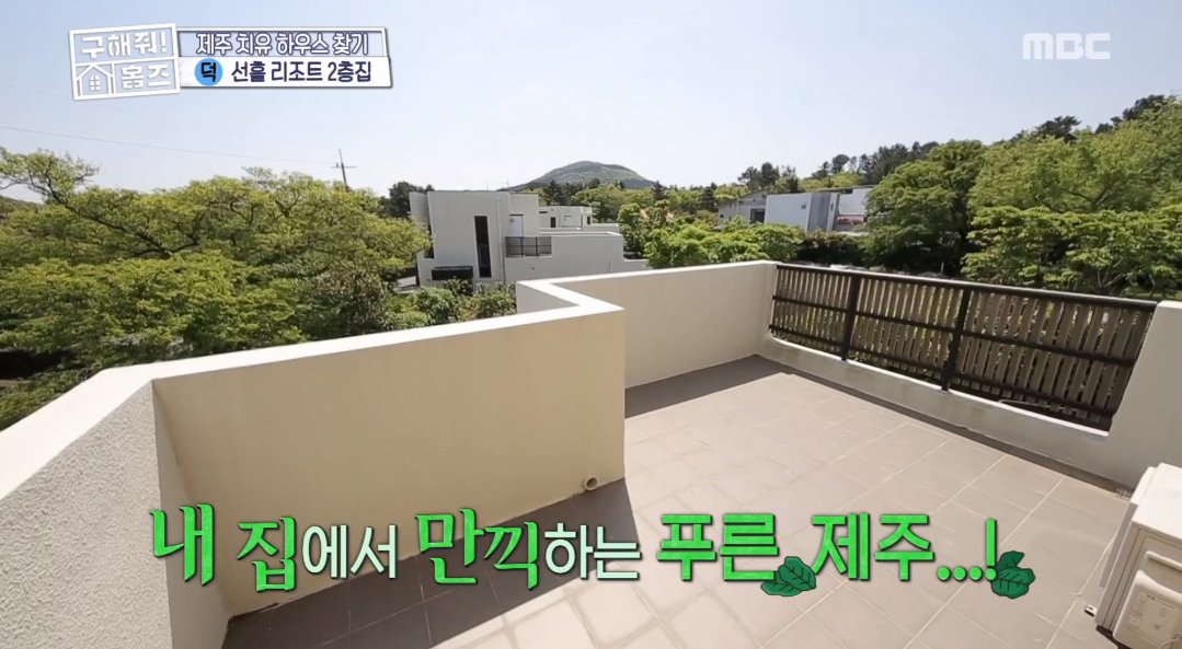 이집이야 이미지