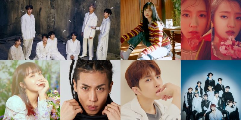 타이거네비게이션 이미지