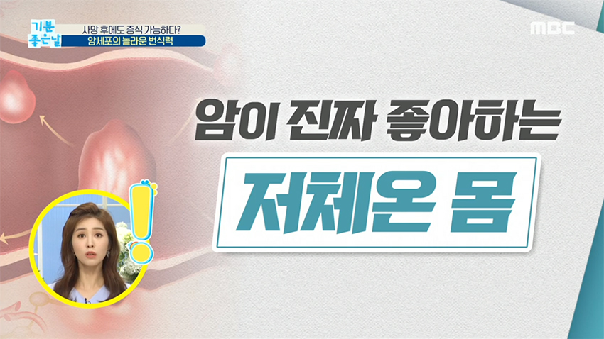 새로움을 탐험하다 MBC 암이 좋아하는 ＜저체온＞ 몸