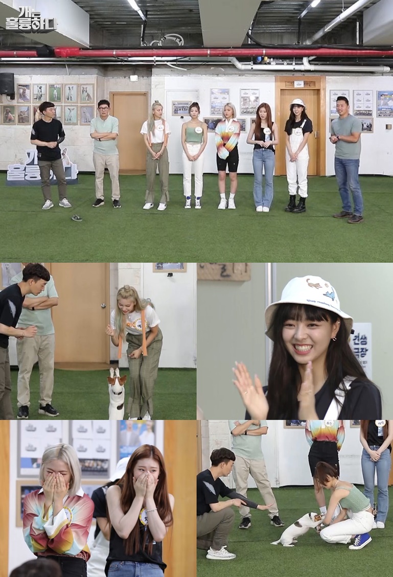 iMBC 연예뉴스 사진