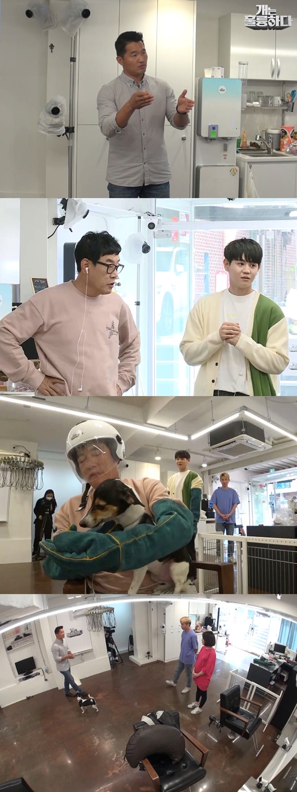 iMBC 연예뉴스 사진