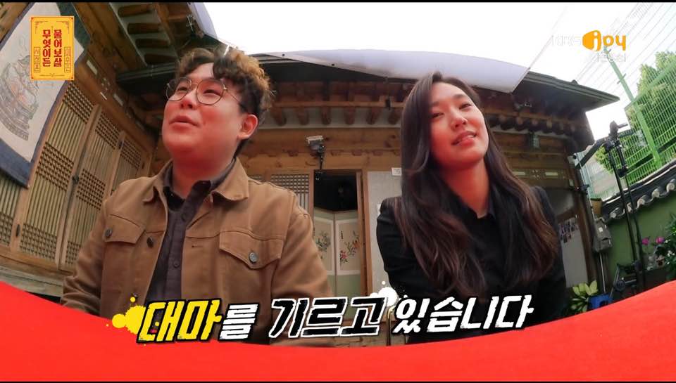 대마기획 이미지