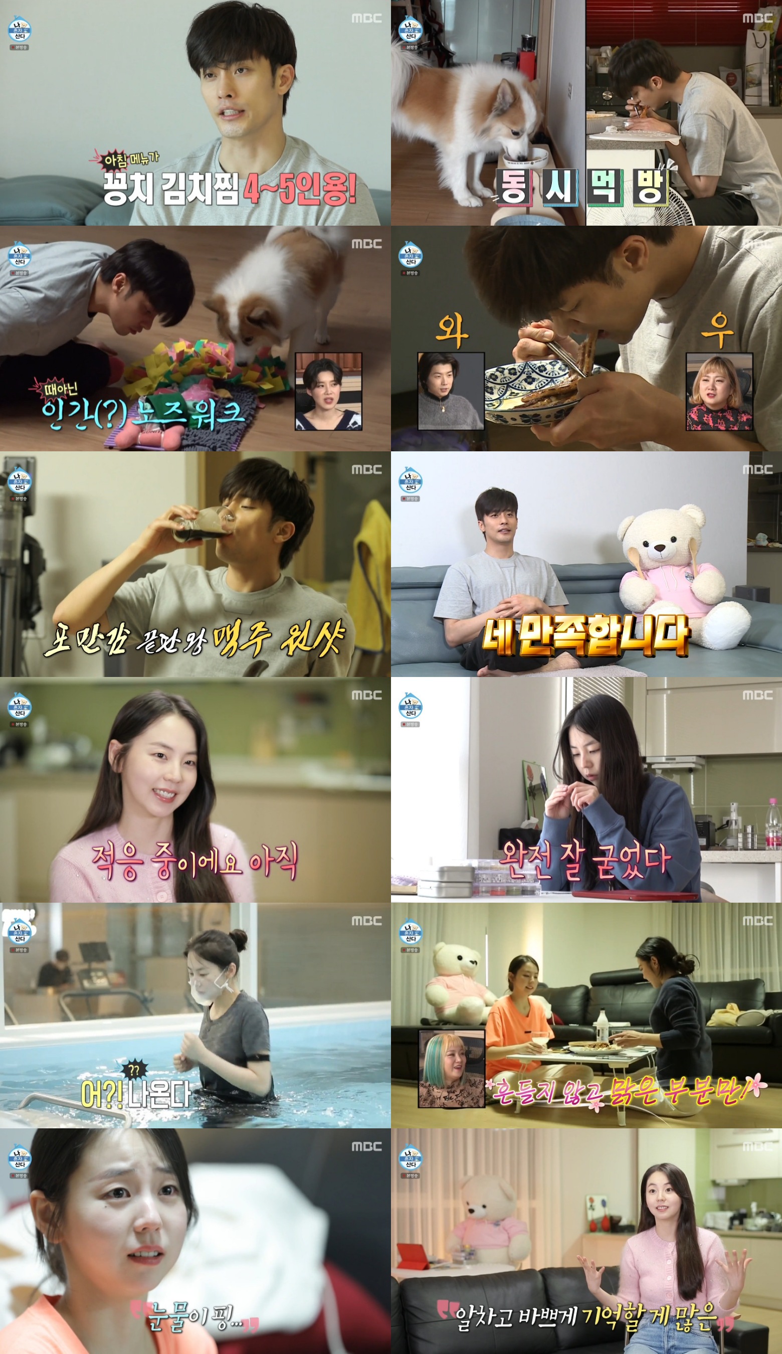 iMBC 연예뉴스 사진