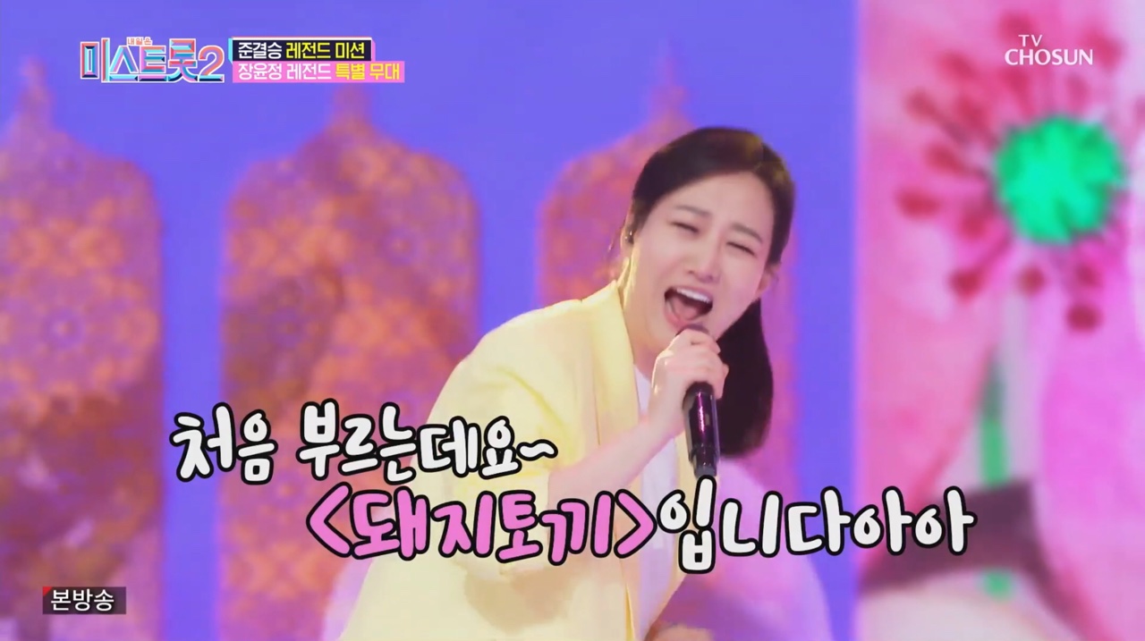 미스돼지 이미지