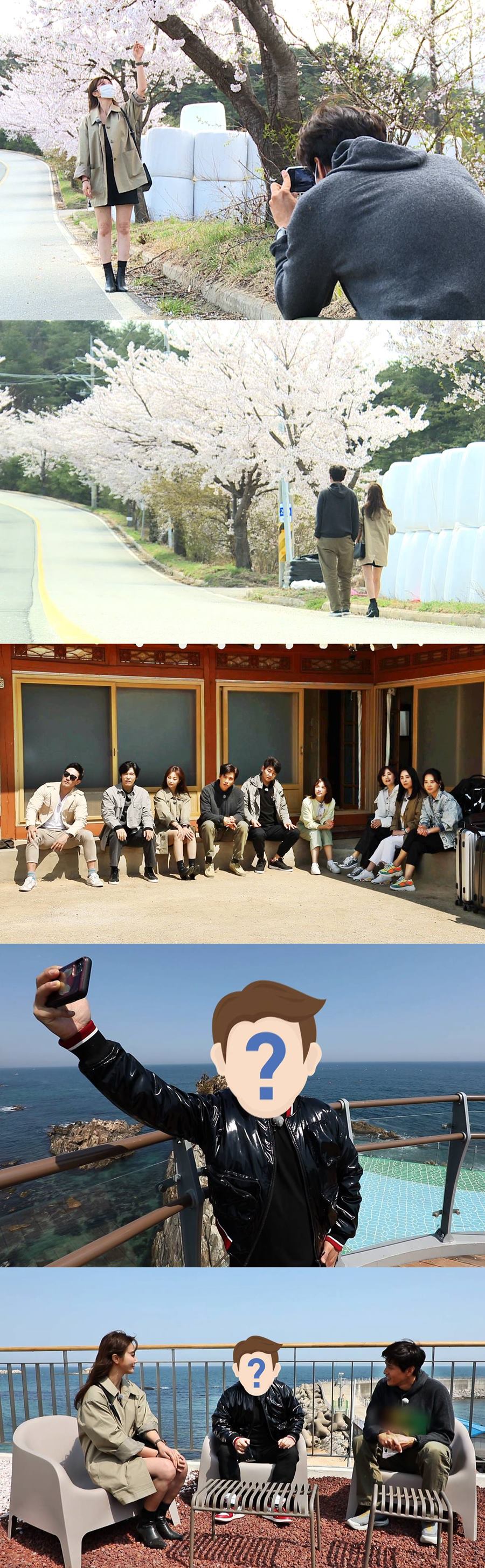 '불타는 청춘' 구본승♥안혜경, 달달한 벚꽃 데이트 현장