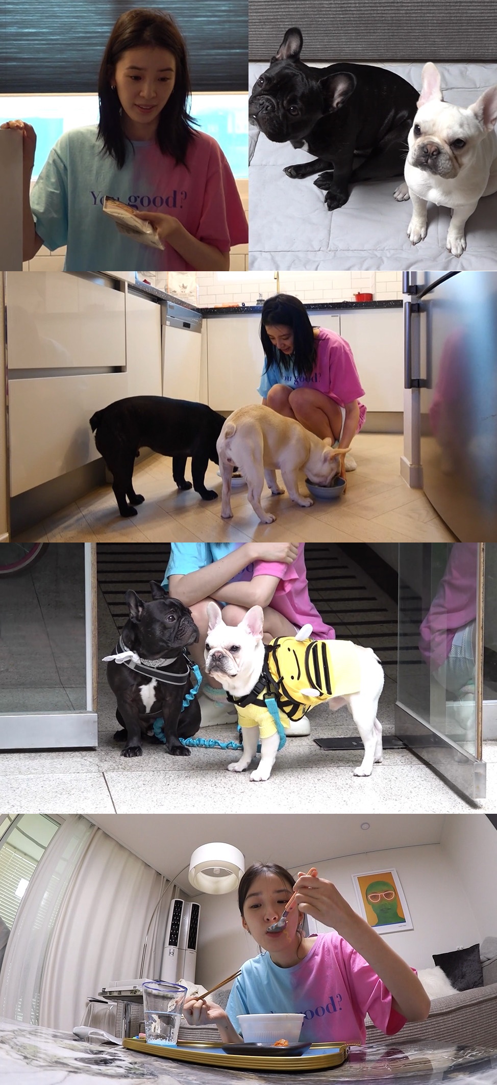 아이린홈 이미지