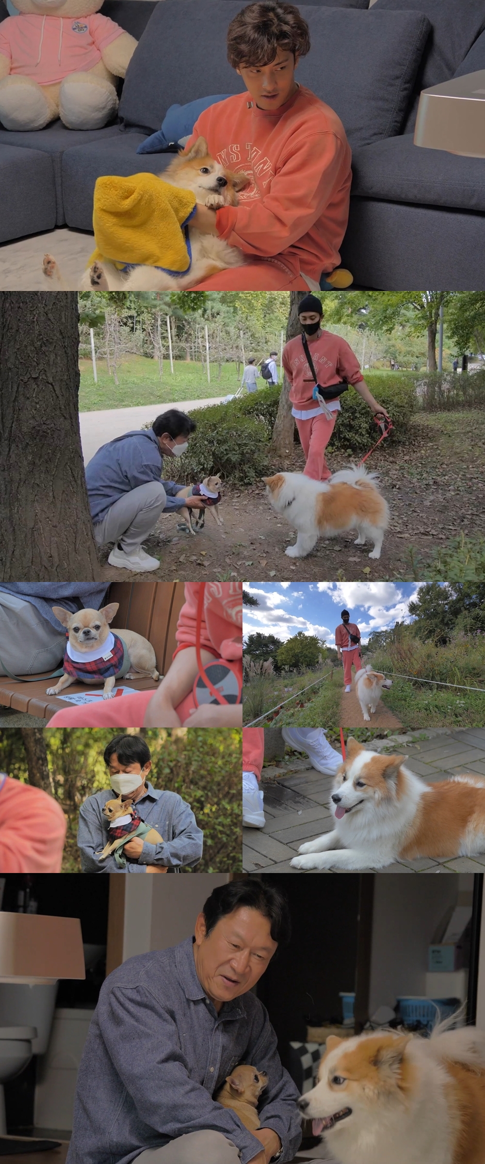 iMBC 연예뉴스 사진