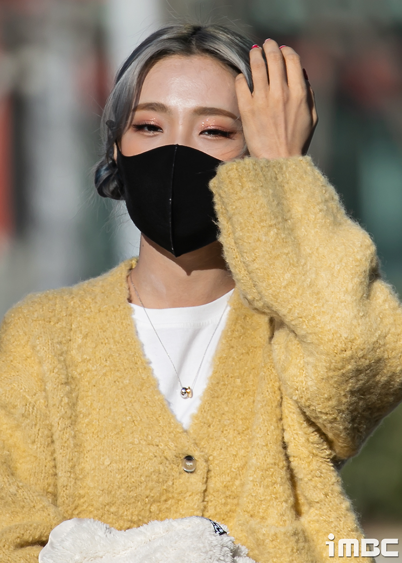 여름기획주 이미지