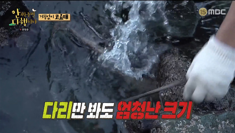 ‘안다행’ 김종민, 역대 최고 대왕 문어 잡았다 “문어가 돌을 들었어!”