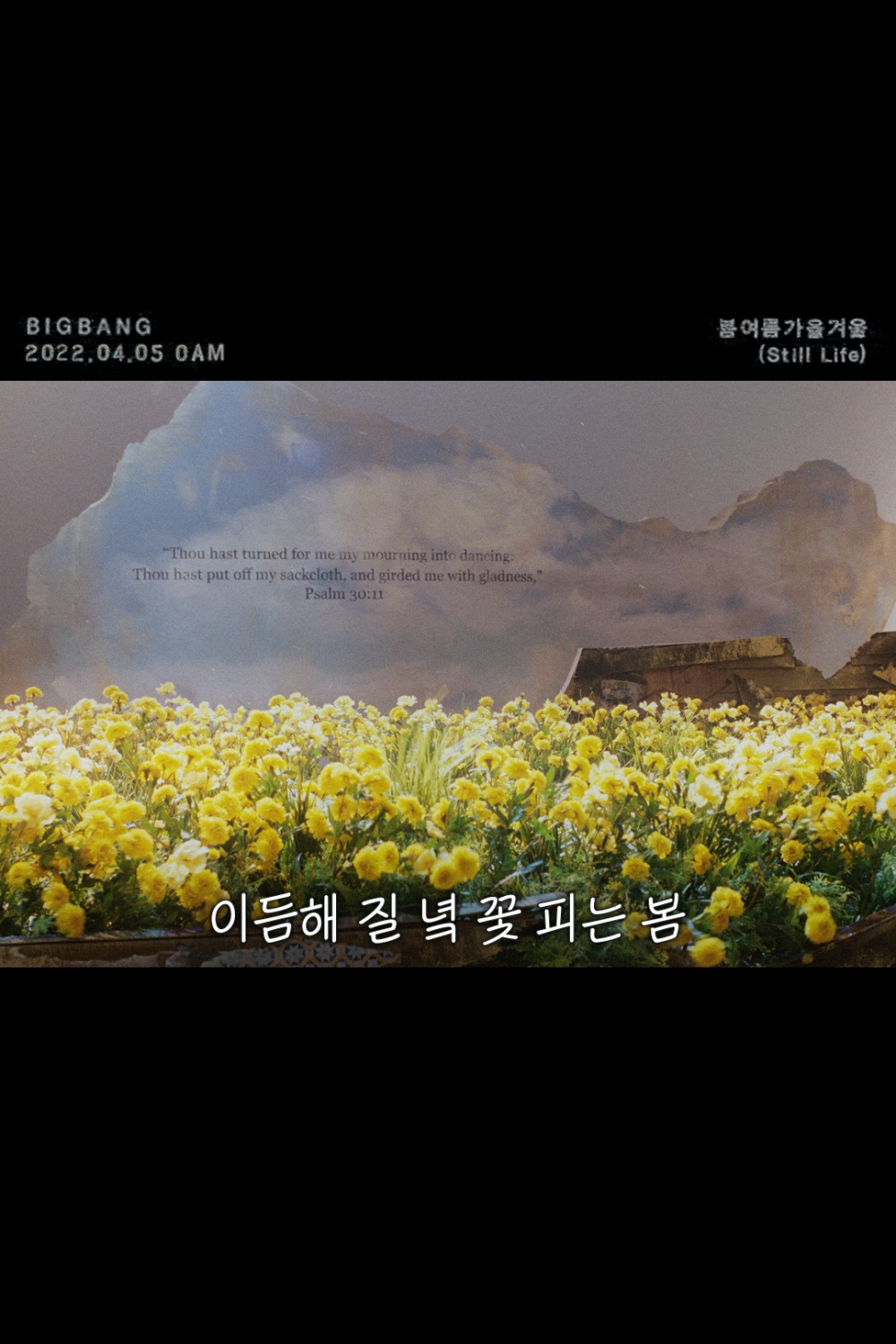 이듬해봄 이미지