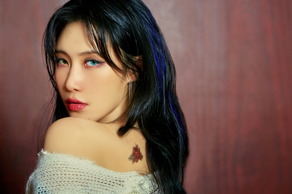 예지기획 이미지