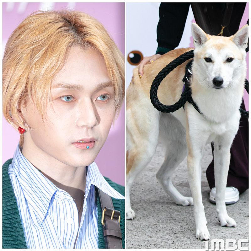 햇님 이미지
