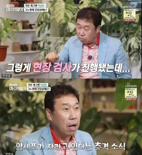 iMBC 연예뉴스 사진