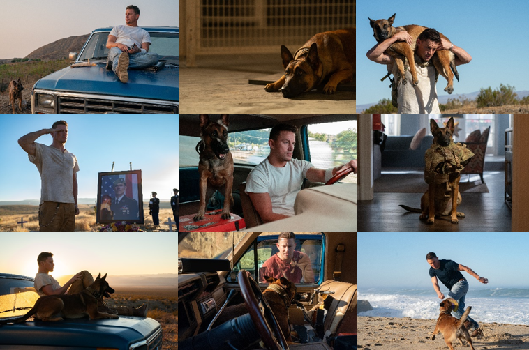 '도그' 채닝 테이텀, 사고뭉치 군견과 떠나는 좌충우돌 우정 여행