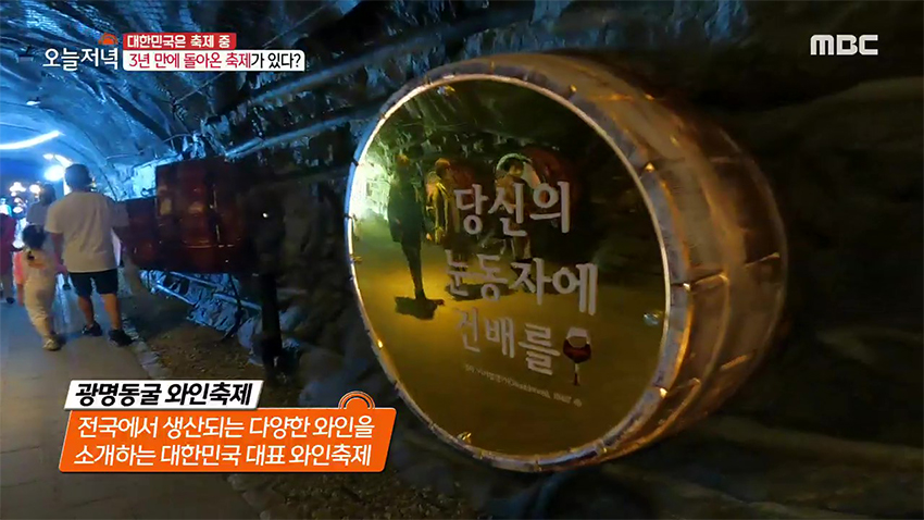 전국 팔도 와인 총집합♨ 3년 만에 돌아온 '광명 동굴 와인 축제'