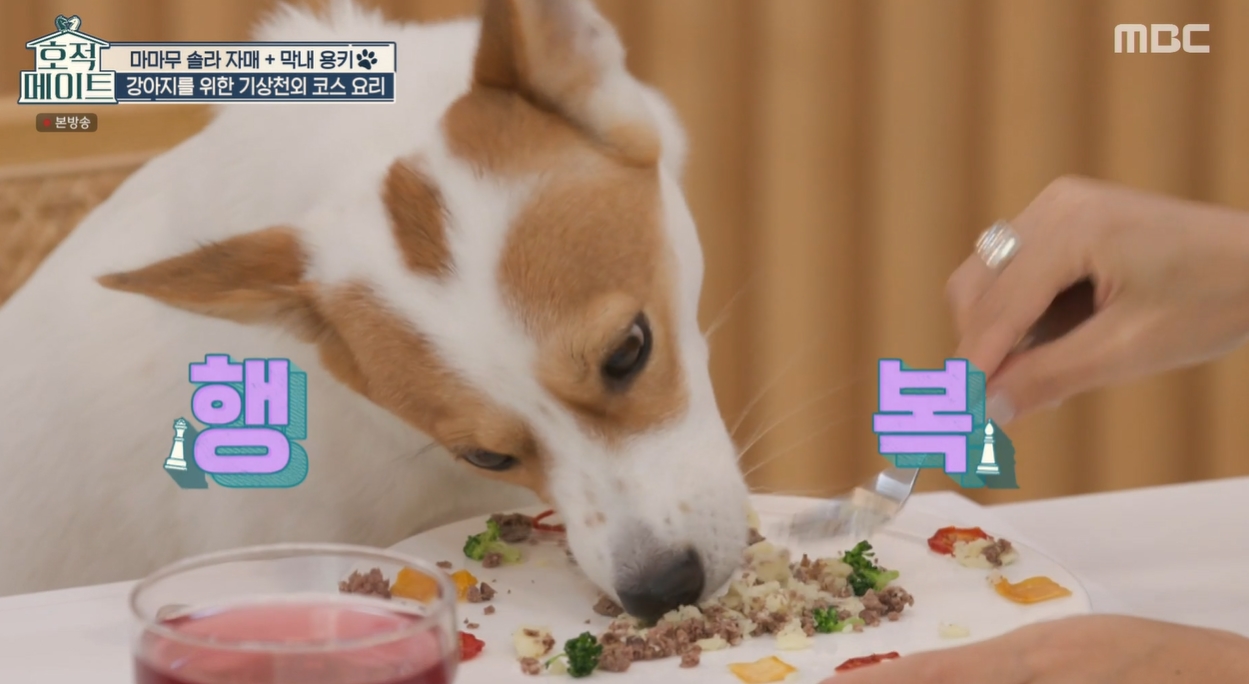 정성기획 이미지