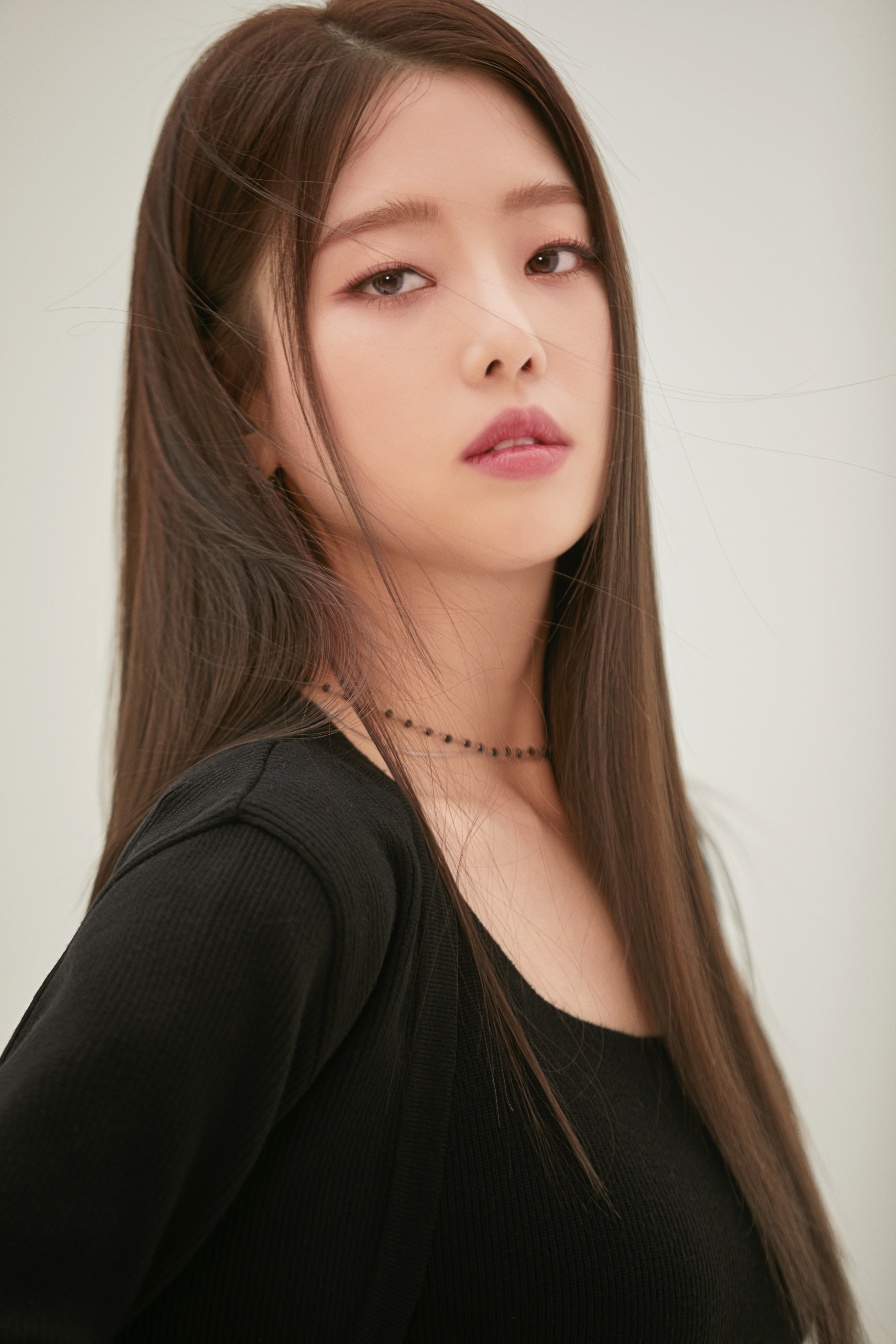 나비컴퍼니 이미지