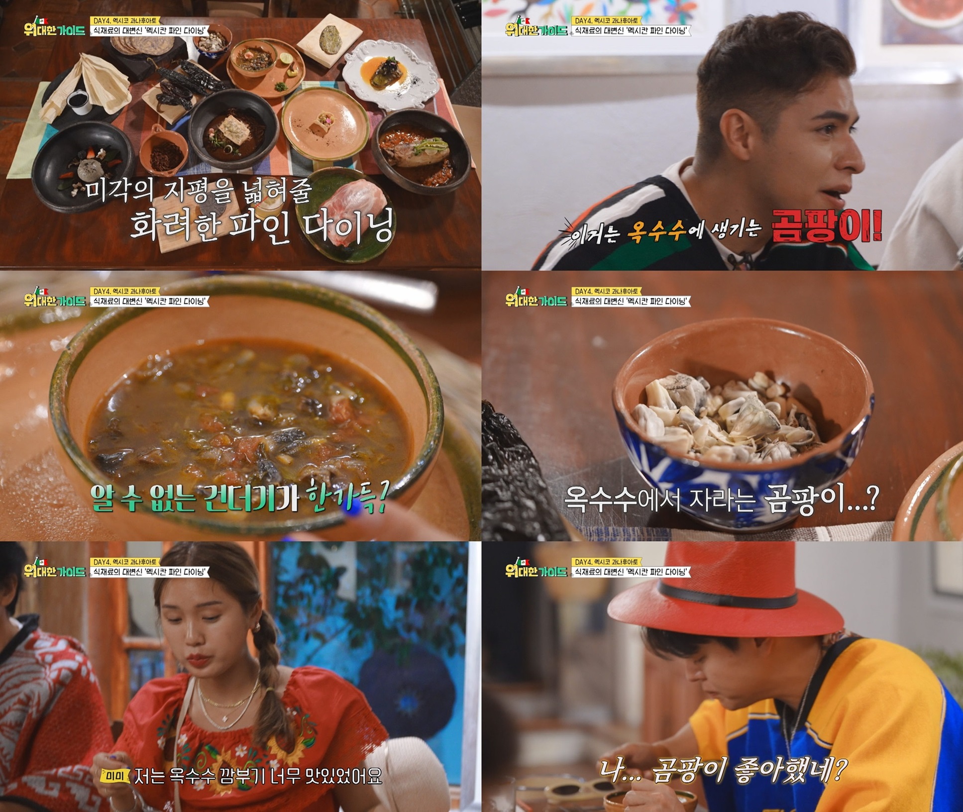 신현준→고규필, 선인장부터 메뚜기·곰팡이 먹방(위대한 가이드)