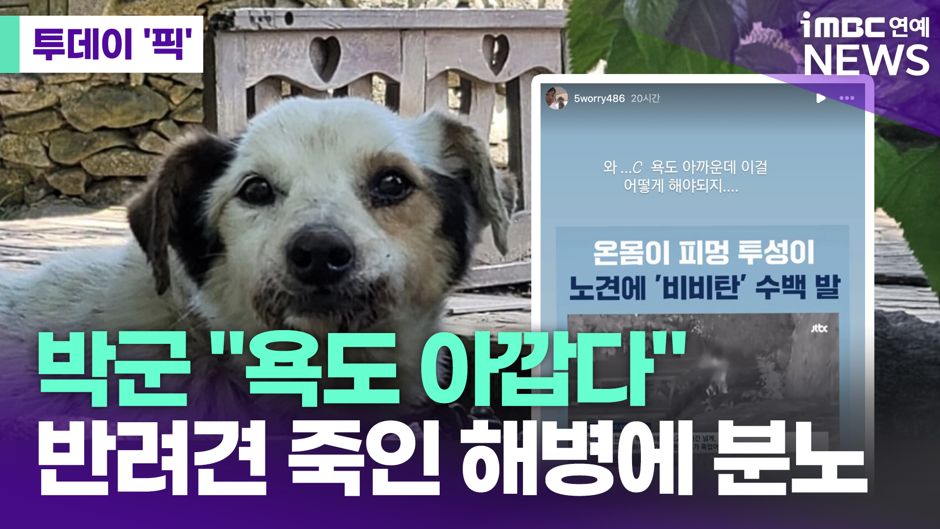 iMBC 연예뉴스 사진