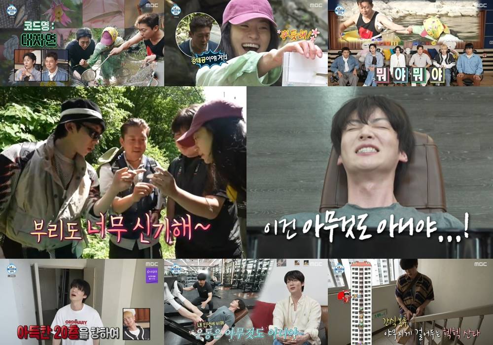 iMBC 연예뉴스 사진