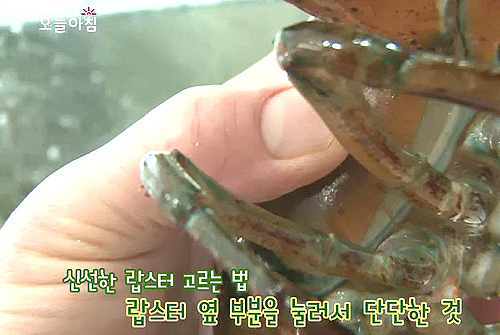 고급 랍스터 요리 반에 반값으로 만드는 법! 고급 랍스터 요리 반에 반값으로 만드는 법!
