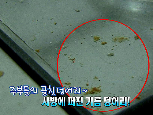 장마철 눌어붙은 기름때! 식용유로 말끔하게 | 기사상세 | iMBC 연예 장마철 눌어붙은 기름때! 식용유로 말끔하게 | 기사상세 | Imbc 연예
