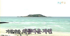 <2009 바캉스 특집> ‘1박2일’ 따라가는 야생 여행지 - 제주도 편