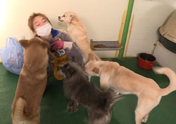 <나 혼자 산다> 씨스타 효린, '나 고양이와 산다!' 싱글 하우스 대공개!